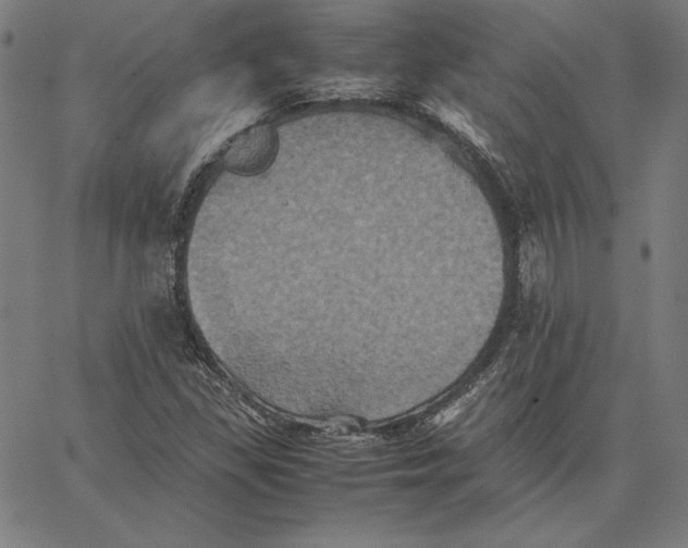 X0000066521309200604071542