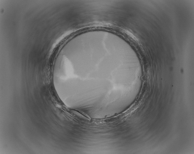 X0000066521310200604071542