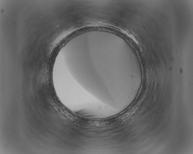 X0000066521311200604071542