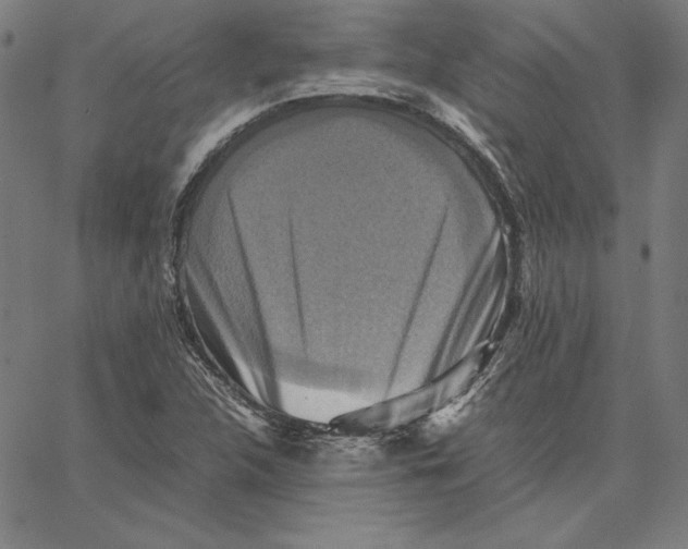 X0000066521312200604071542