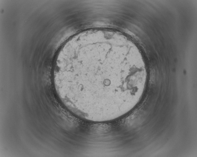 X0000066521314200604071542