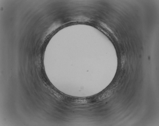 X0000066521315200604071542