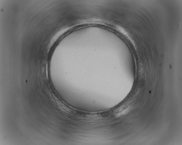 X0000066521320200604071542