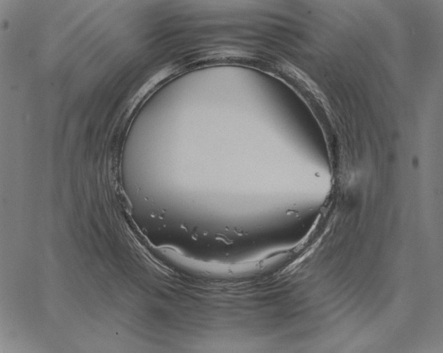 X0000066521321200604071542