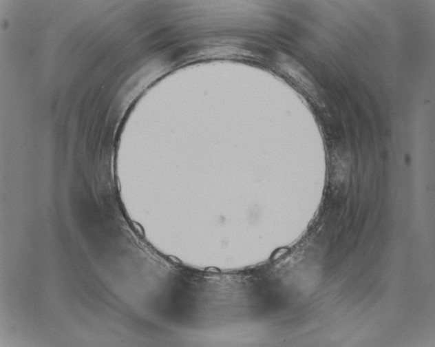 X0000066521322200604071542