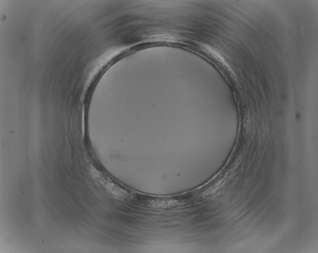 X0000066521323200604071542