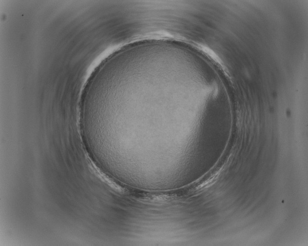 X0000066521326200604071542