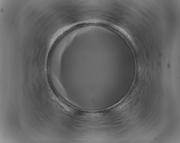 X0000066521327200604071542