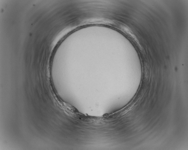 X0000066521328200604071542