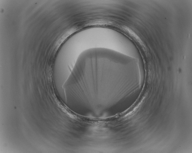 X0000066521329200604071542