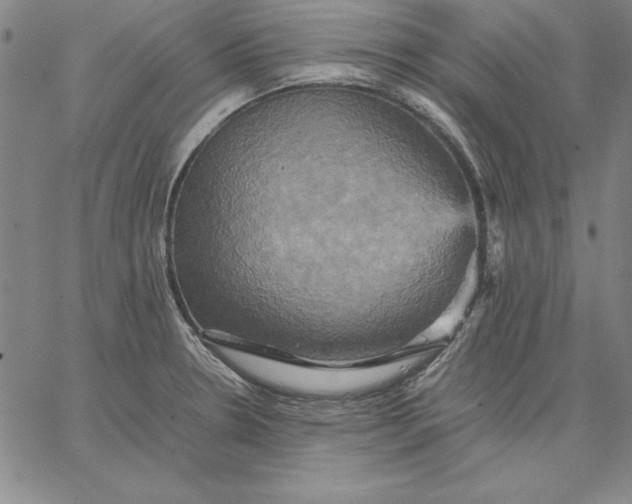 X0000066521330200604071542