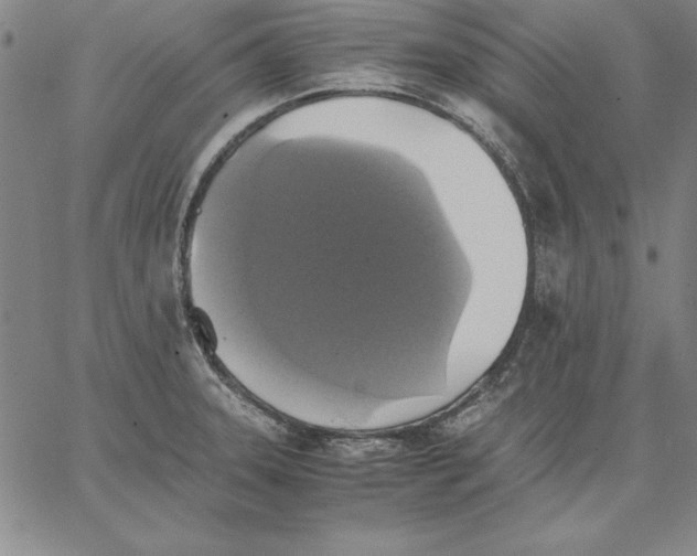 X0000066521331200604071542