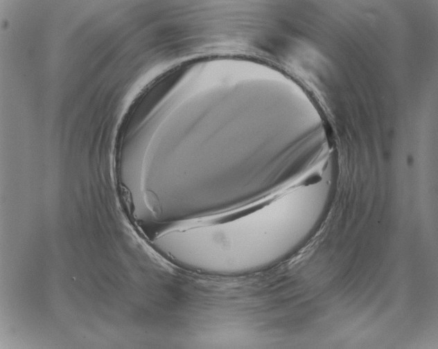 X0000066521334200604071542