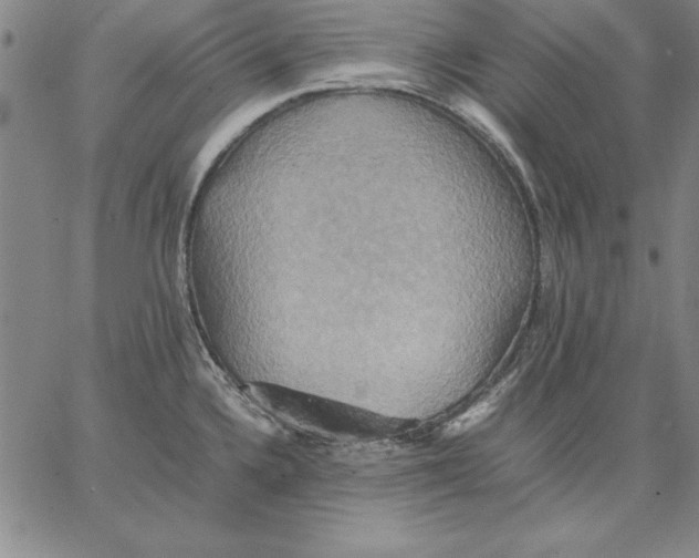 X0000066521336200604071542