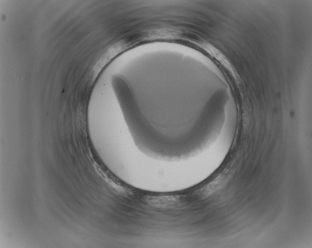 X0000066521337200604071542