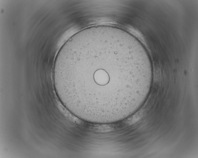 X0000066521338200604071542