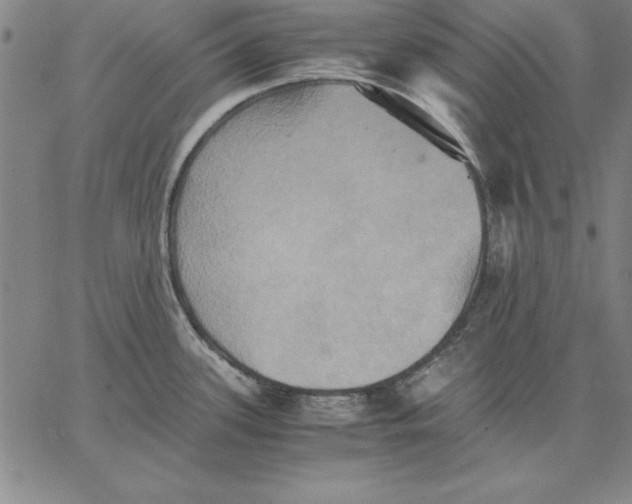 X0000066521339200604071542