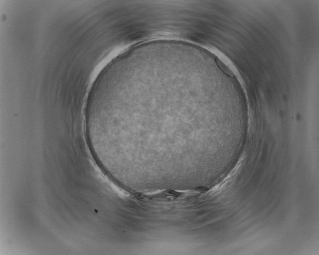 X0000066521341200604071542