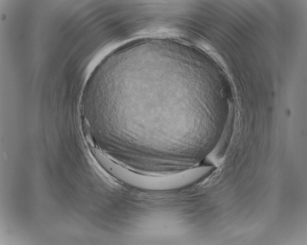 X0000066521344200604071542