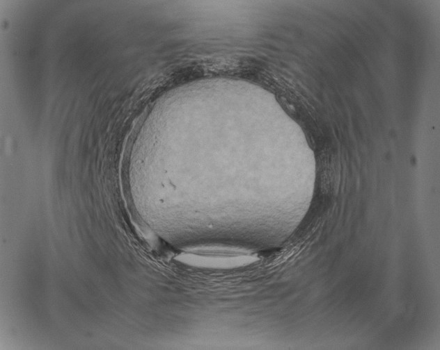 X0000066521345200604071542