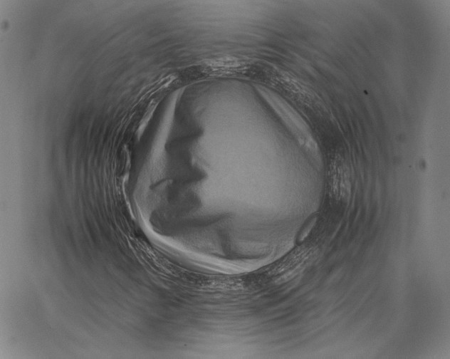 X0000066521346200604071542