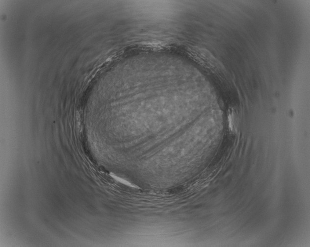 X0000066521347200604071542