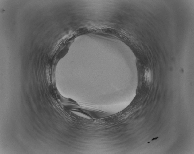 X0000066521348200604071542