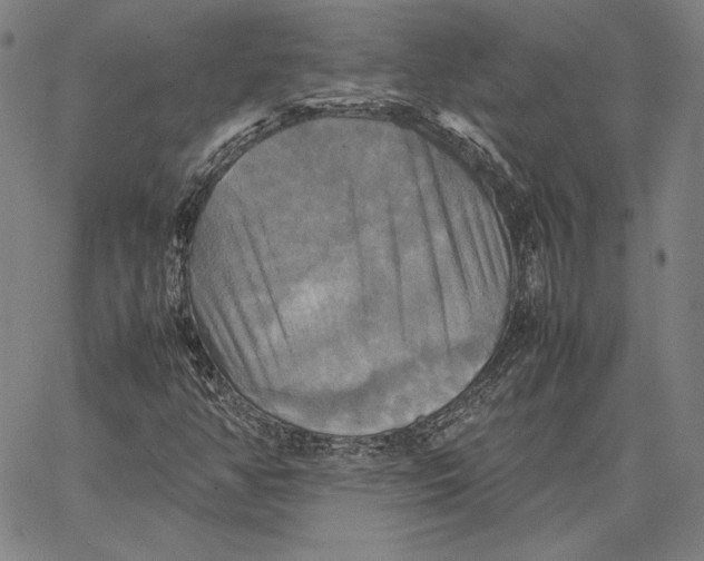 X0000066521350200604071542