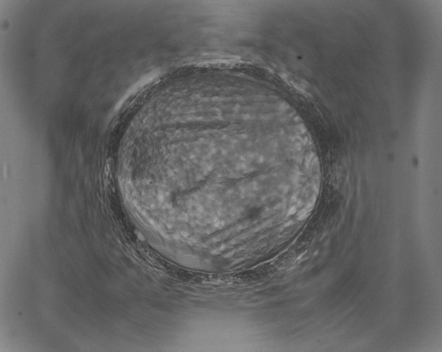 X0000066521351200604071542