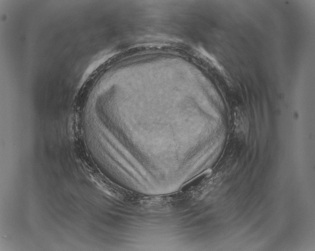 X0000066521352200604071542