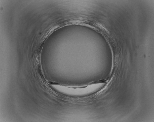 X0000066521353200604071541