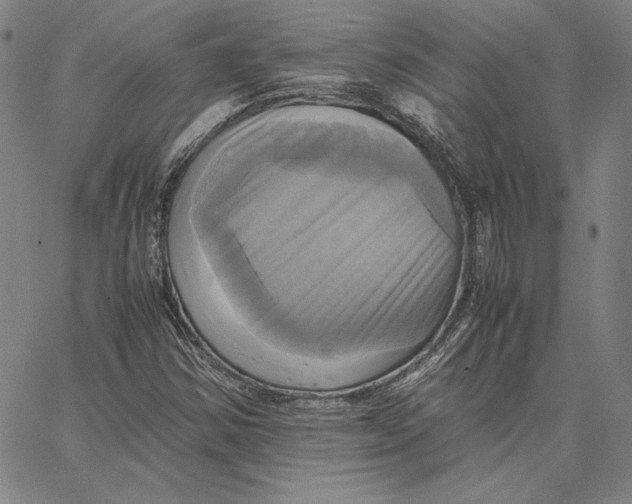 X0000066521354200604071541