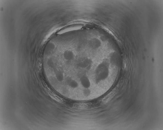 X0000066521355200604071541