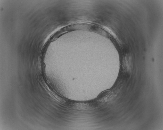 X0000066521356200604071541