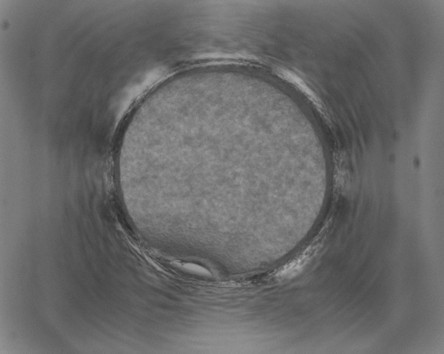 X0000066521357200604071541