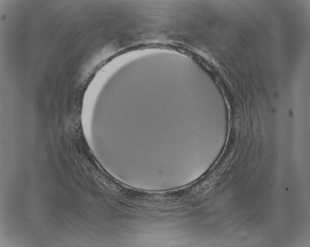 X0000066521359200604071541