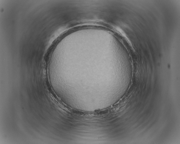 X0000066521360200604071541