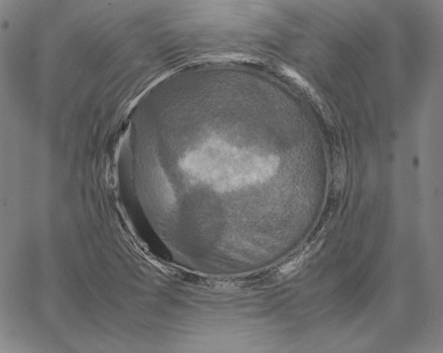 X0000066521361200604071541