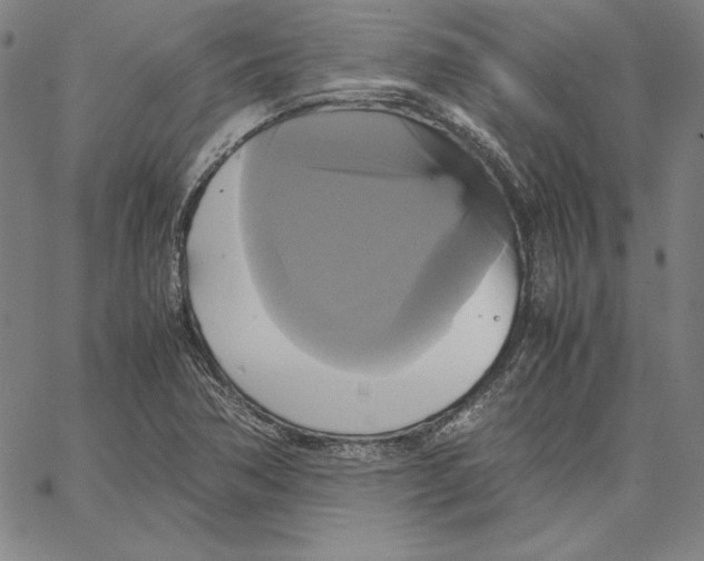 X0000066521362200604071541