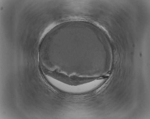 X0000066521365200604071541