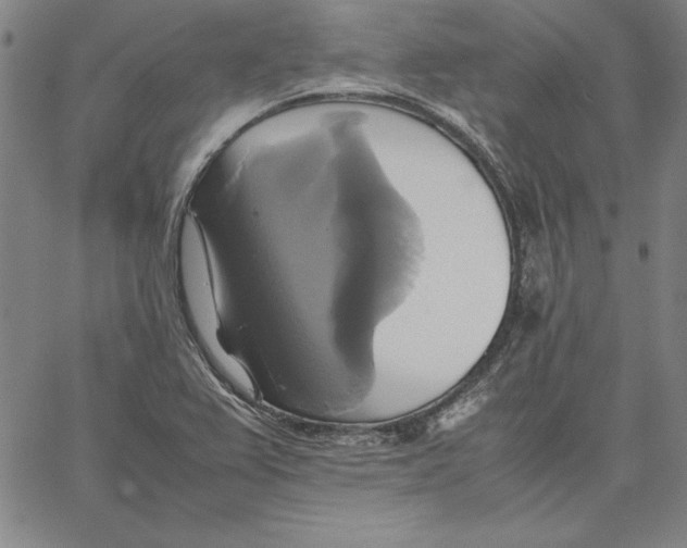 X0000066521367200604071541