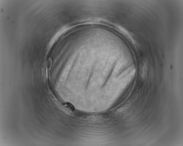 X0000066521368200604071541