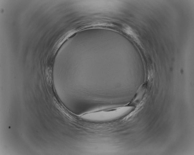 X0000066521369200604071541