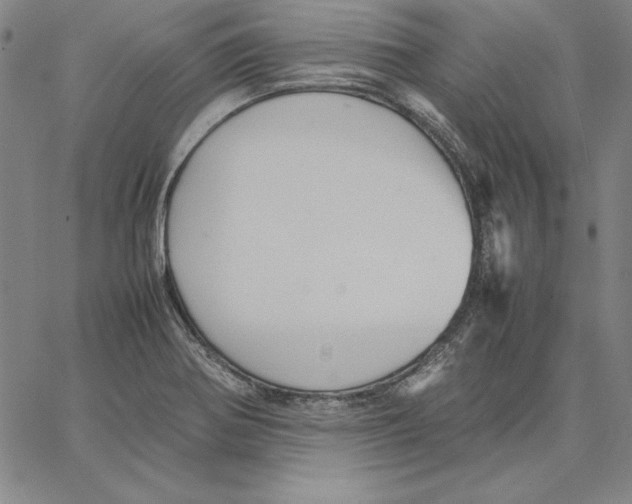 X0000066521370200604071541