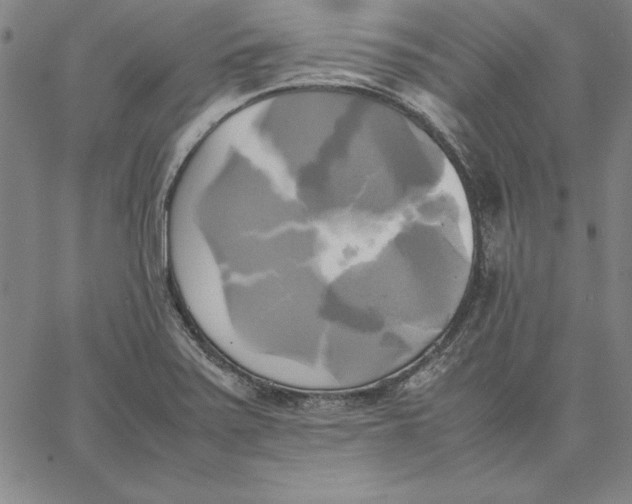 X0000066521371200604071541