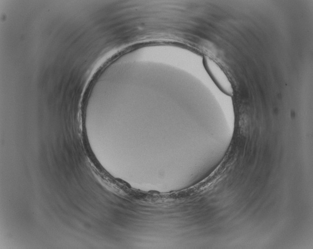 X0000066521372200604071541