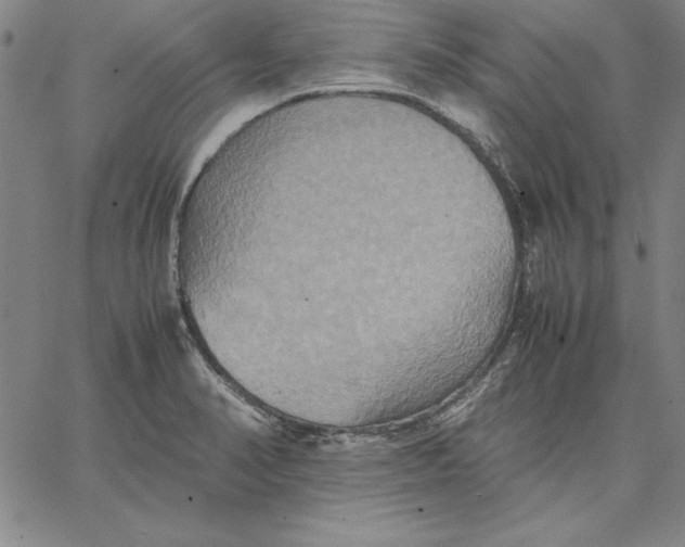 X0000066521374200604071541