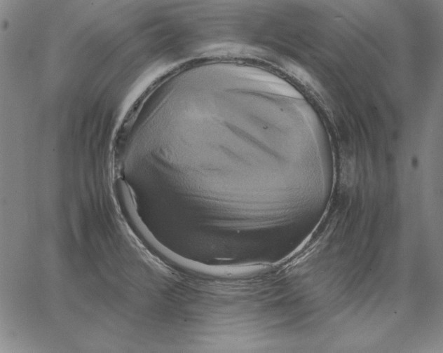 X0000066521376200604071541