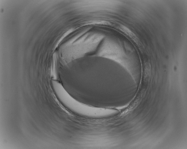 X0000066521377200604071541