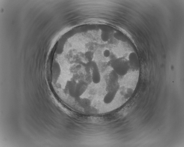 X0000066521379200604071541